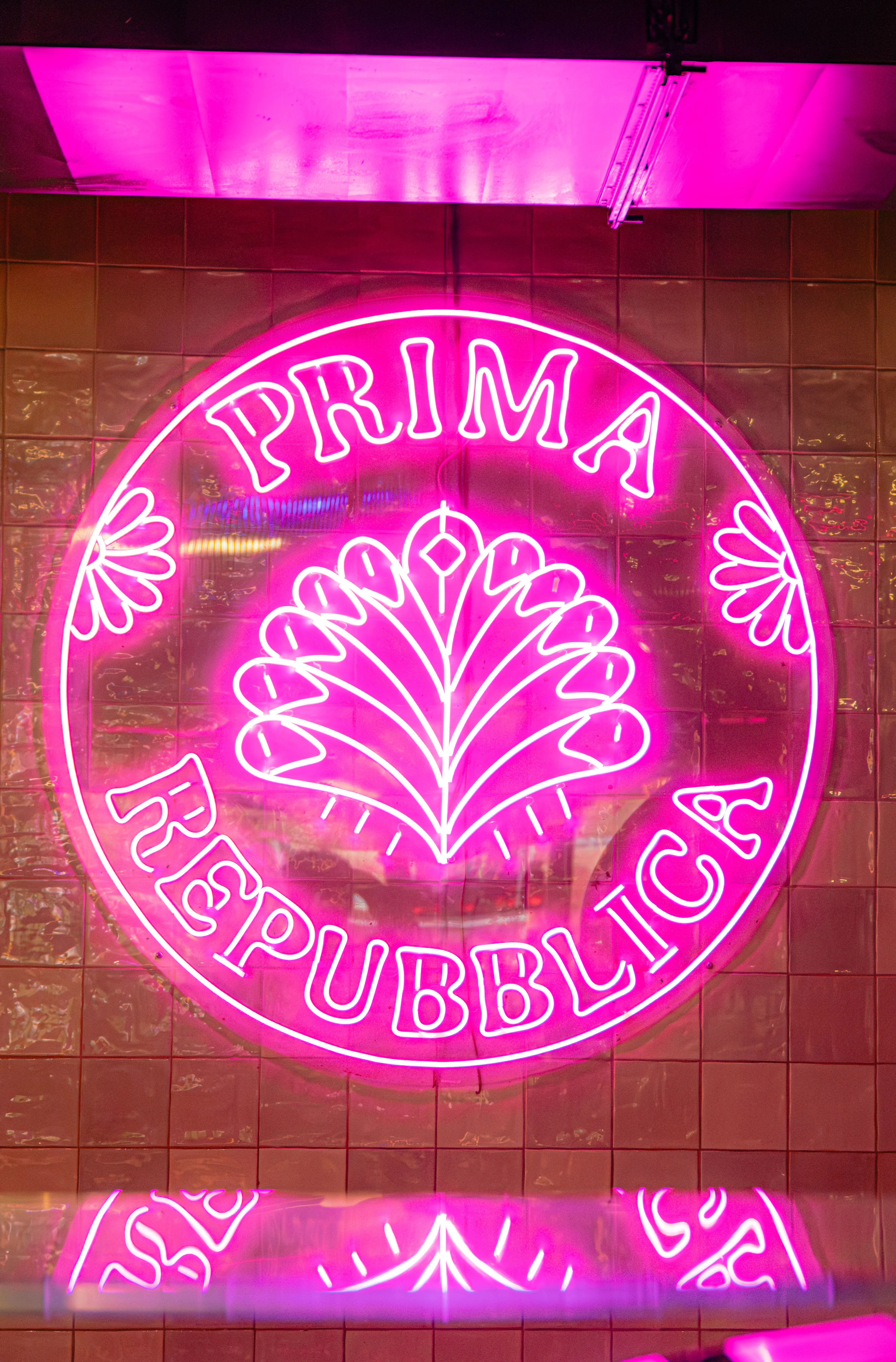 Prima 3