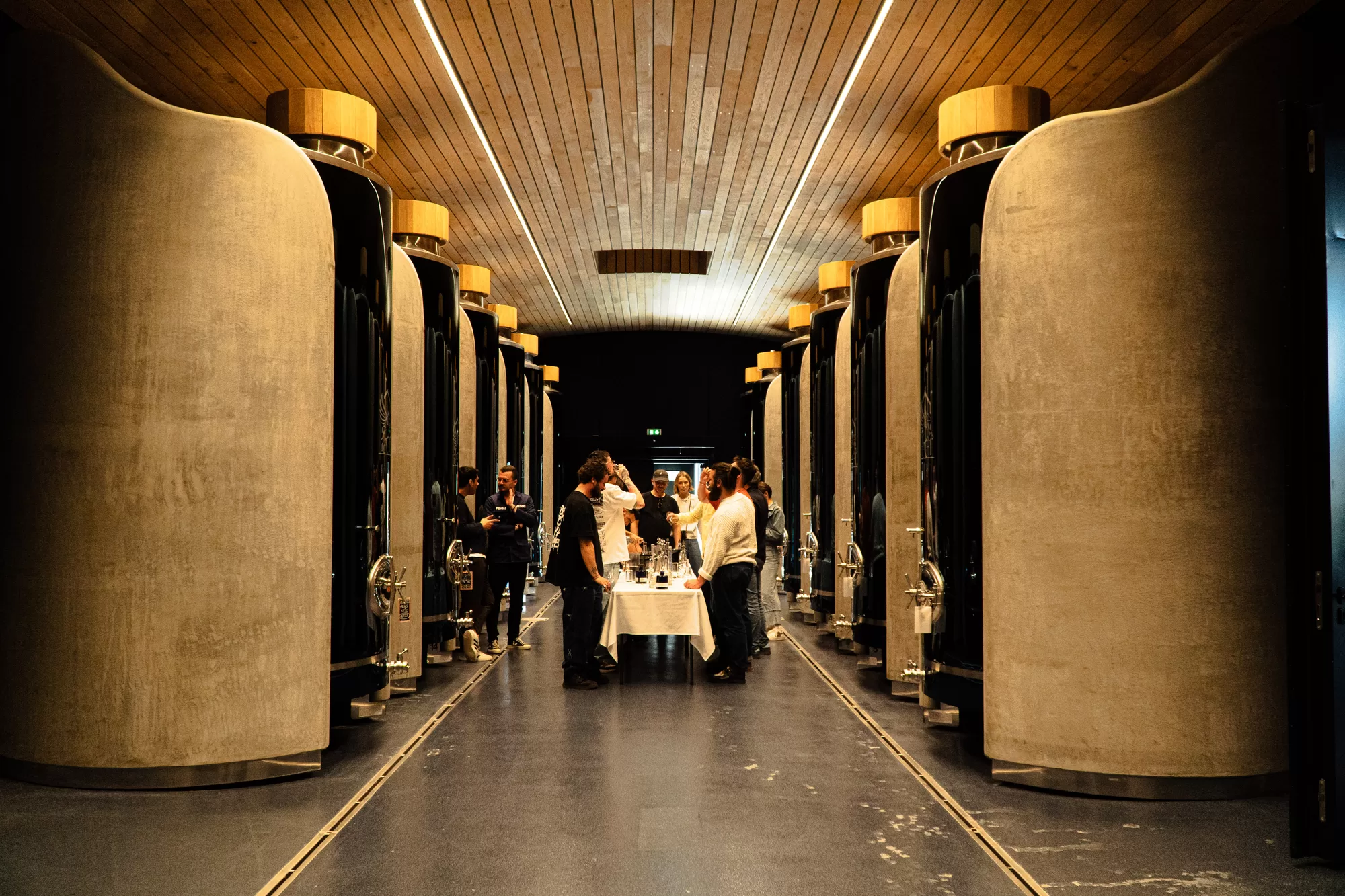 Chai de la distillerie Pegasus et ses cuves béton