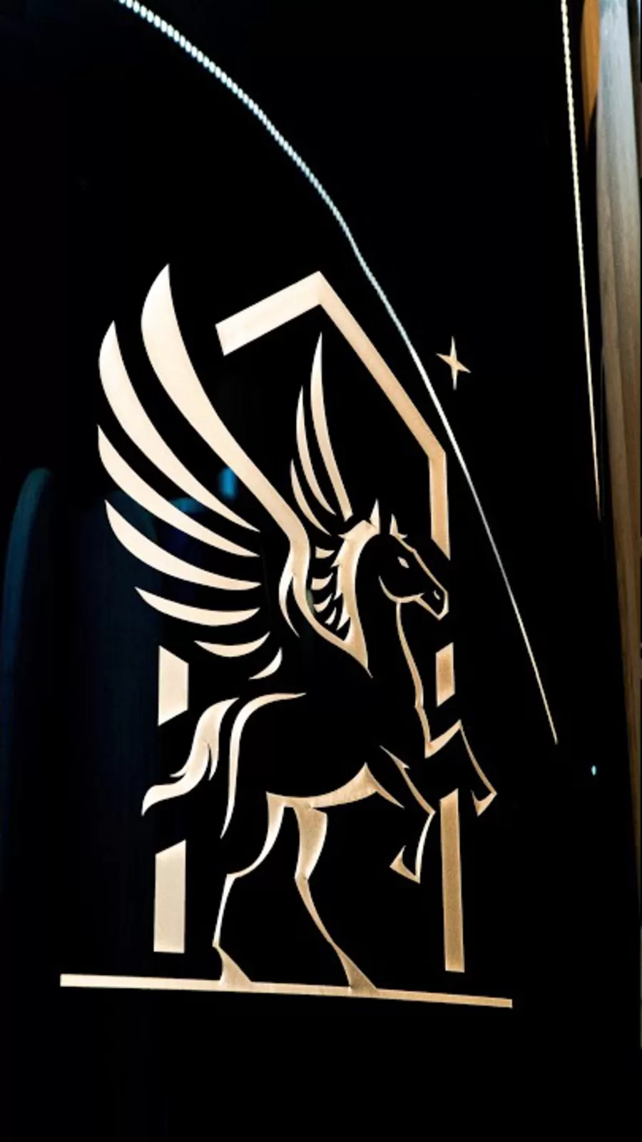 La Distillation — Pegasus Distillerie