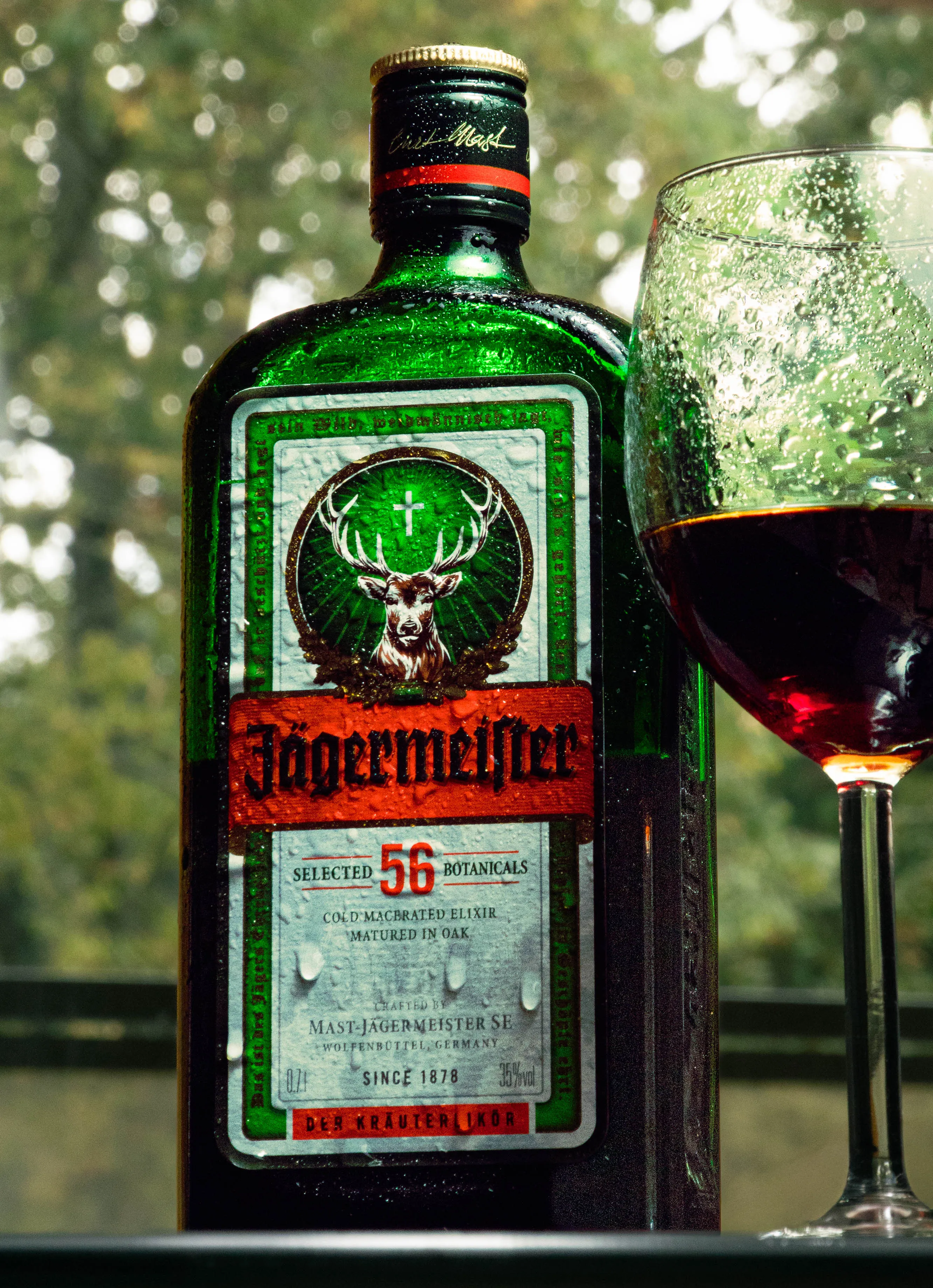 Jager Forest